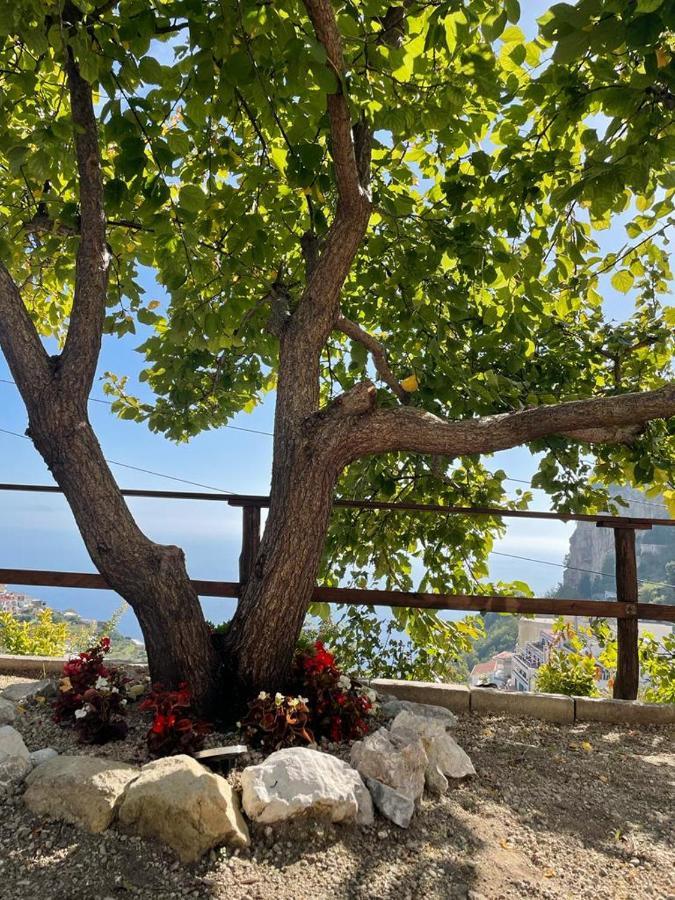 La Villa Di Enzo Casa Vacanze Con Vista Mare أمالفي المظهر الخارجي الصورة
